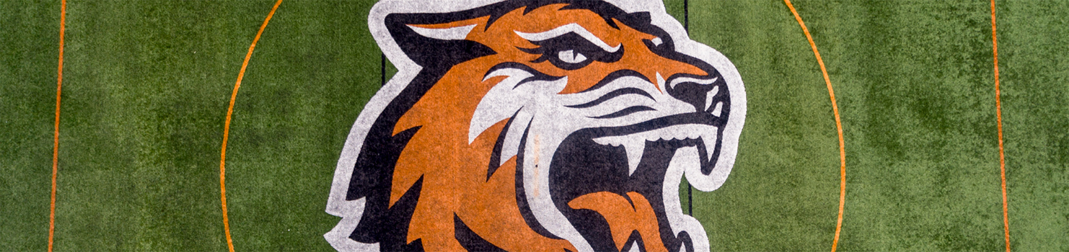 RIT Tiger logo on the field.