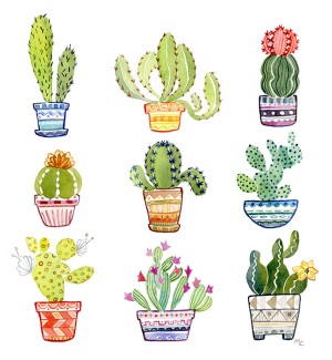 An illustration of several types of cacti in colorful decorative pots.