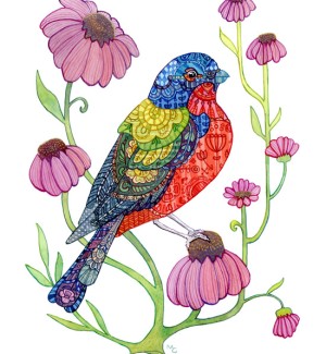 Print 'Painted Bunting and Coneflowers'