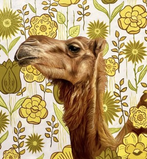 a hand illustrated portrait of a camel on a decorative background.