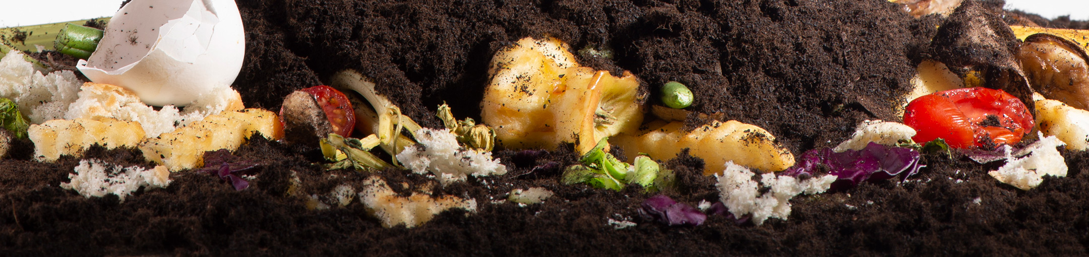 Food waste scraps and dirt.