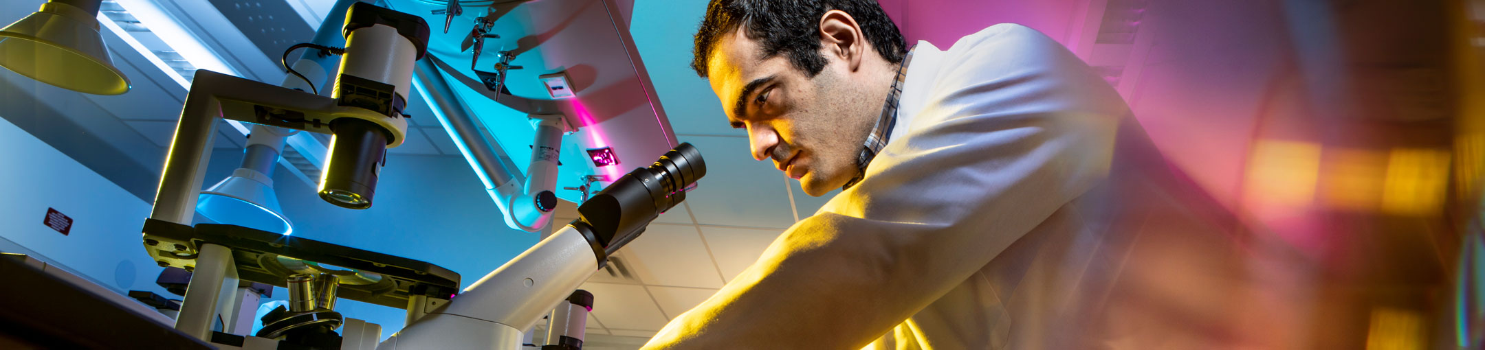 a doctoral student leans over a microscope