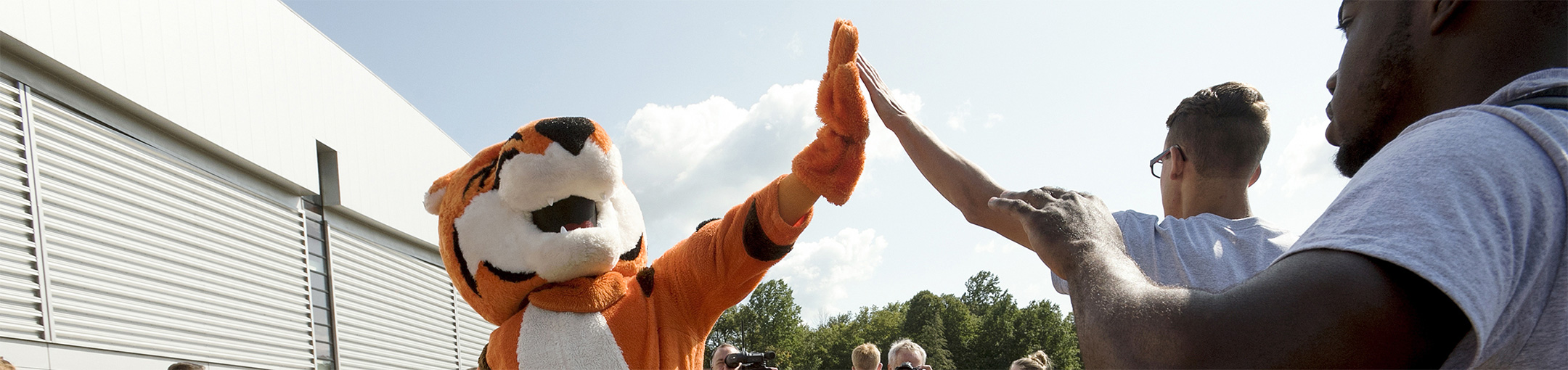 Ritchie the tiger mascot giving high fives to students.