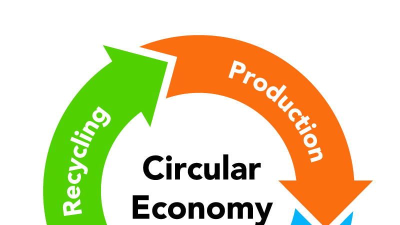 Research Insights: Coming Full Circle