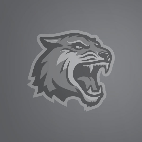 Tiger placeholder image