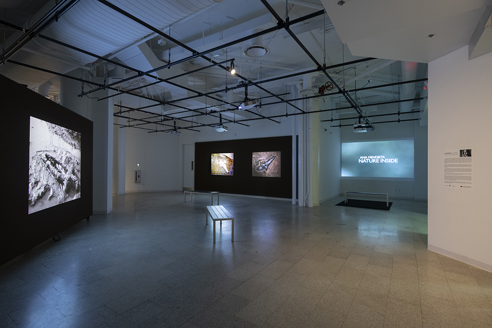 Ana Mendieta: Elemental | City Art Space | RIT