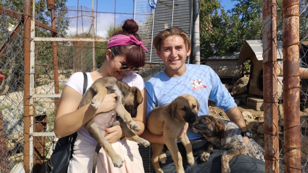 Puppy love continues: another successful dog therapy event at Žarkovica Animal Shelter