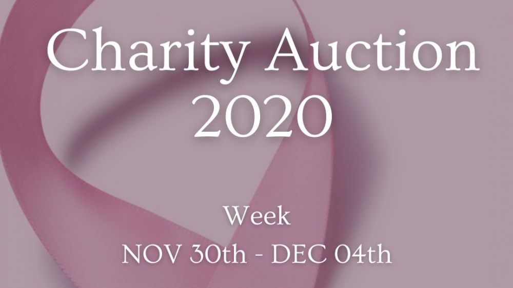 Students organize RIT Croatia annual charity auction – online!