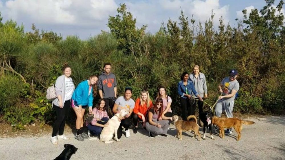 Students volunteering at the Animal Shelter Žarkovica