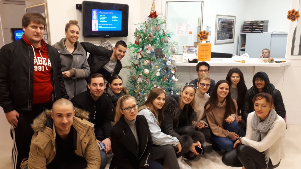 When creativity meets environmental awareness: Students made a recycled Christmas tree from scratch
