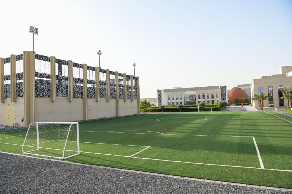 Soccer Pitch