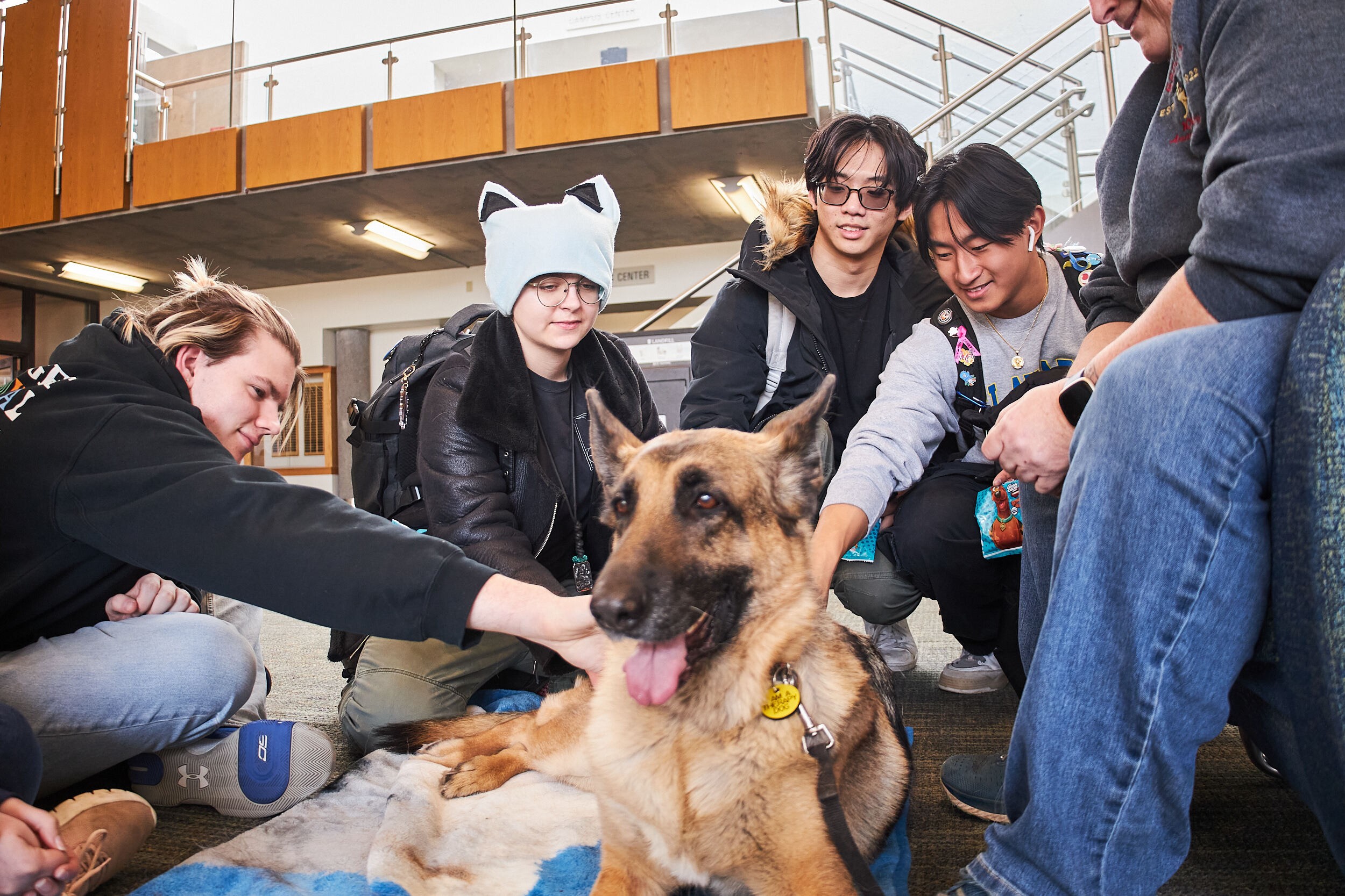 Students gathered around petting a german shepard dog