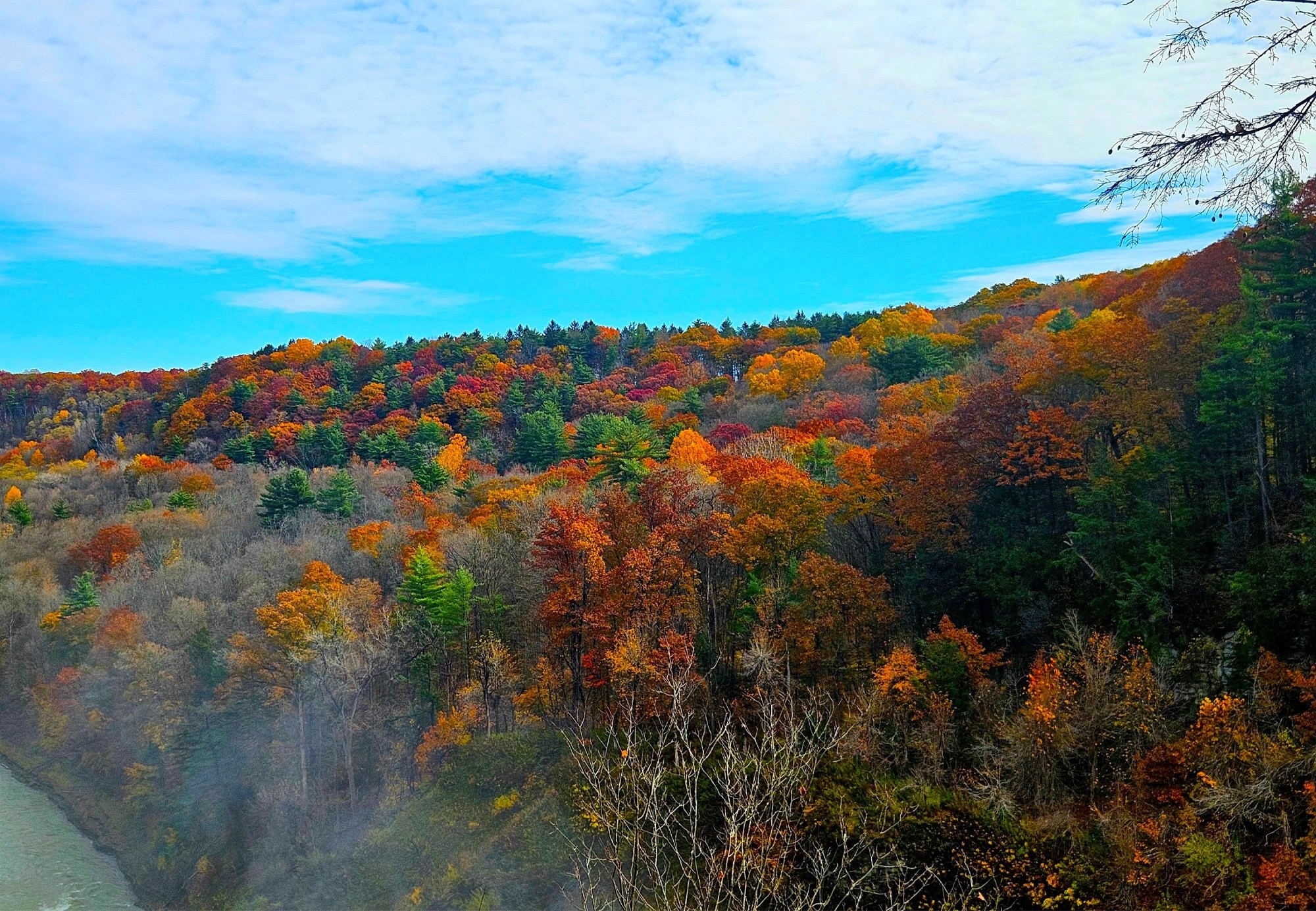 Scenic view of a forest in peak autumn with vibrant red, orange, yellow, and green foliage under a bright blue sky with scattered clouds.