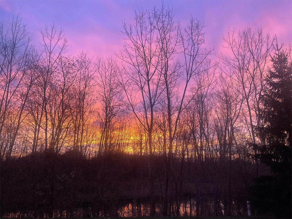 Sunrise over a forest with a colorful pink, purple, and orange sky, also reflected in a calm body of water.