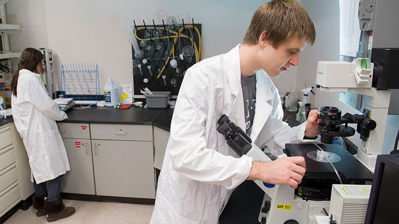 students using a microscope