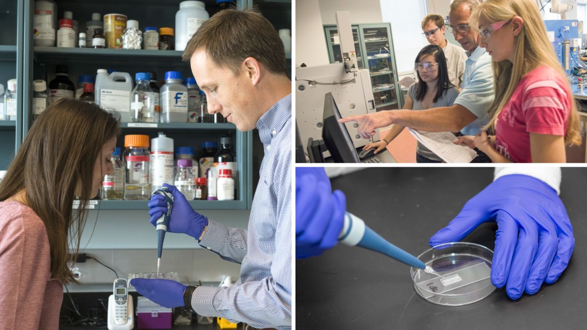 Collage of students and professors working in labs.