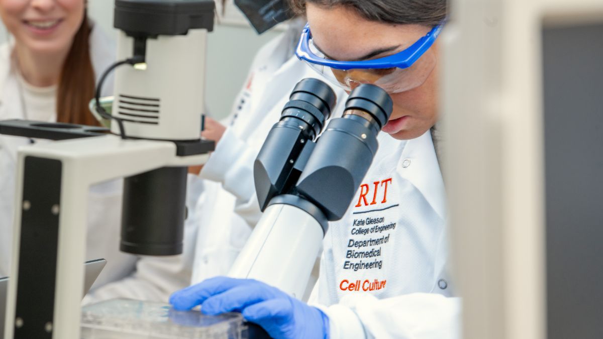 A student looks into a microscope while adjusting an item they are viewing.