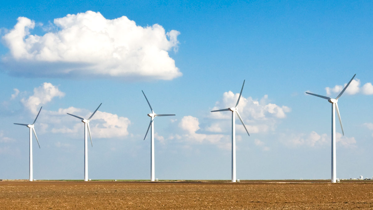 A skyline with several windmills.