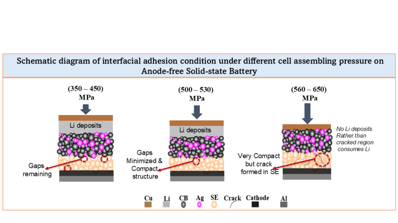 Schematic diagram of interfacial adhesion condition under different cell pressure on Anode-free Solid-state Battery.