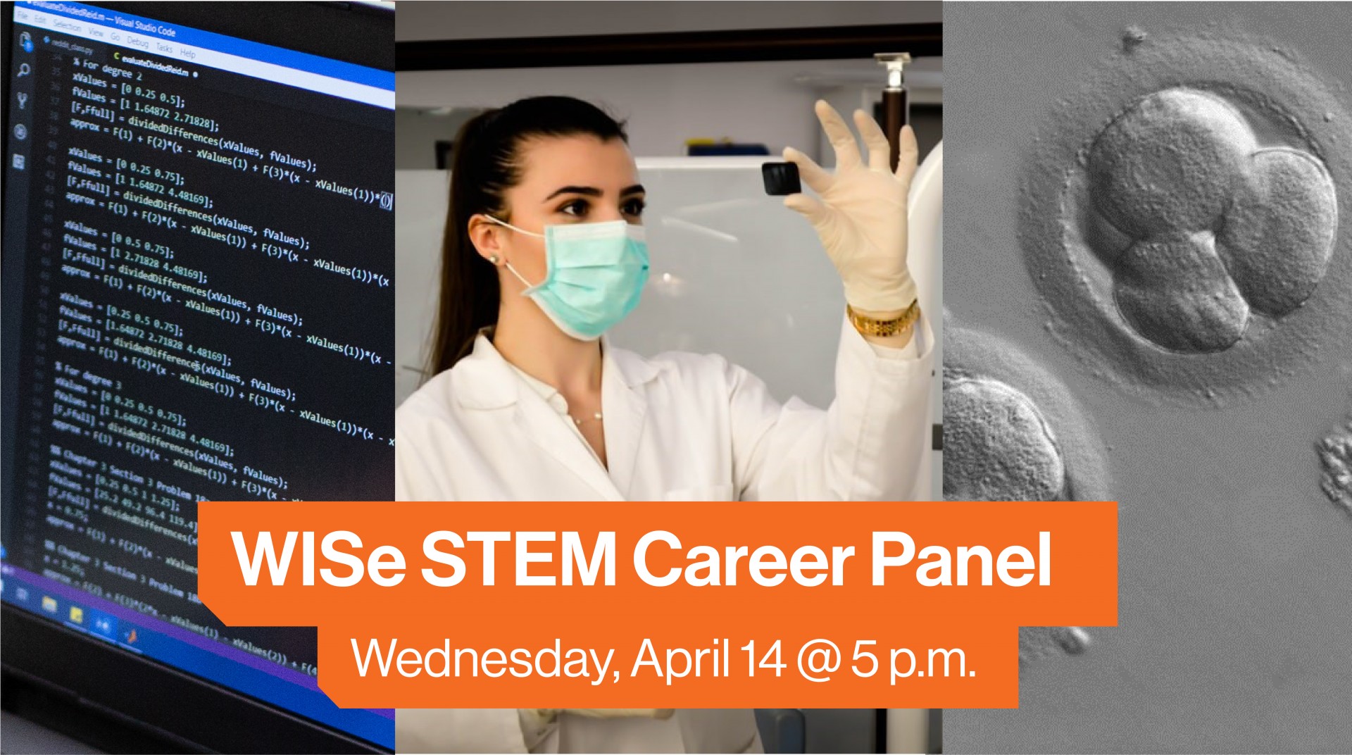 wise STEM career panel