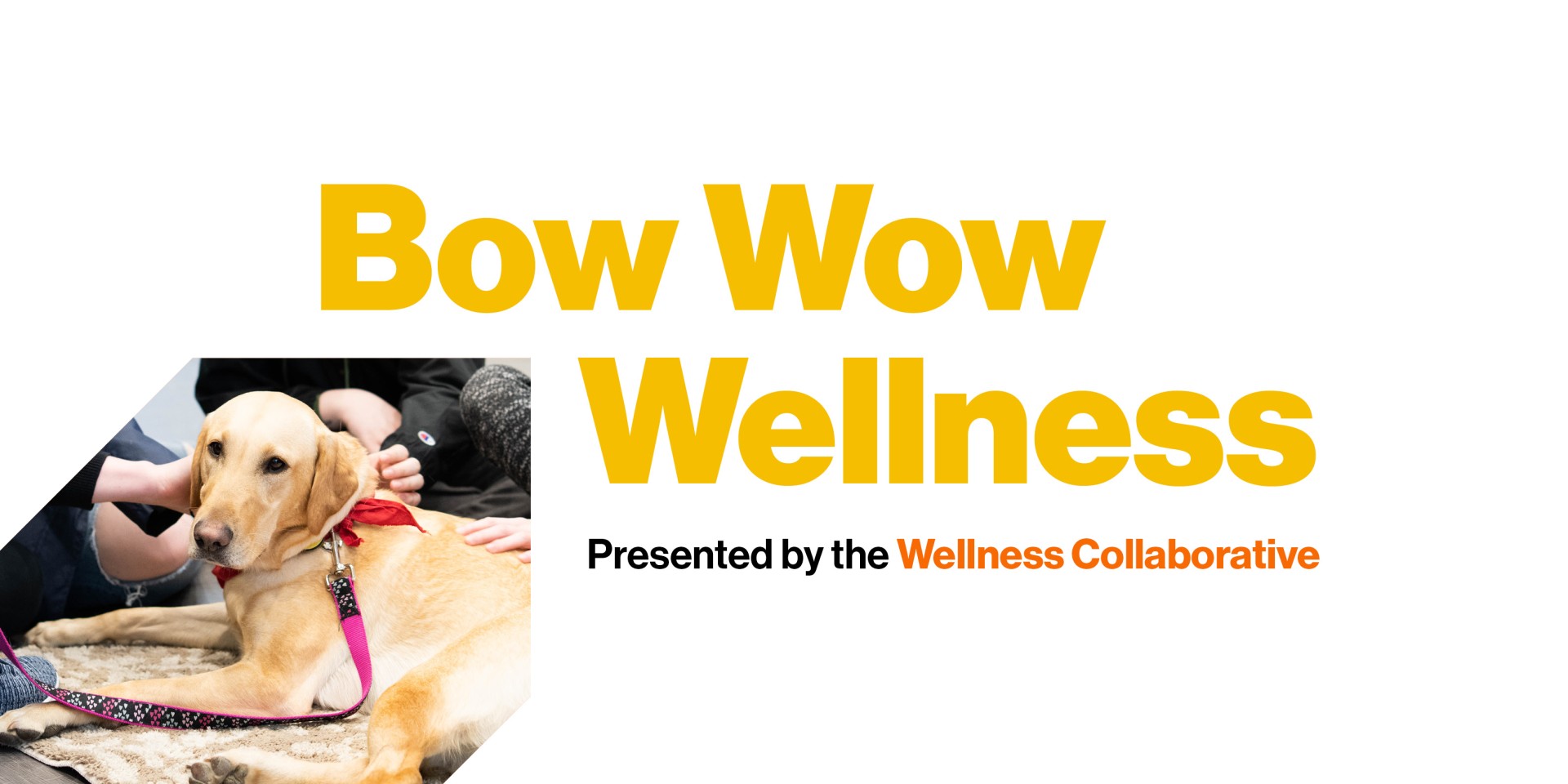 An image with a dog and the text reads "Bow Wow Wellness presented by Wellness Collaborative"