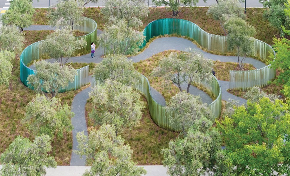 Trees surrounded by tall glass fences.