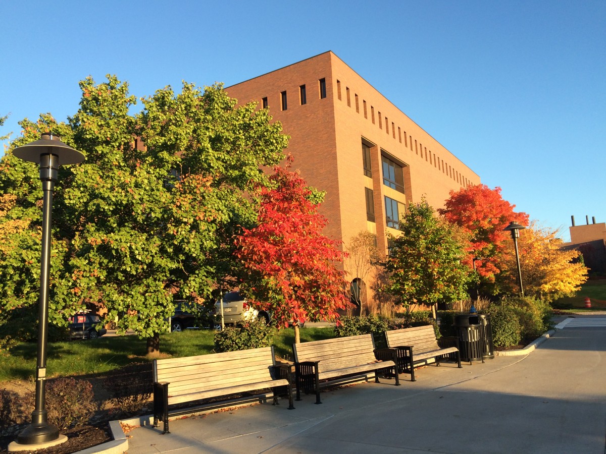 ﻿Brick building with vibrant fall trees, benches, and a paved walkway