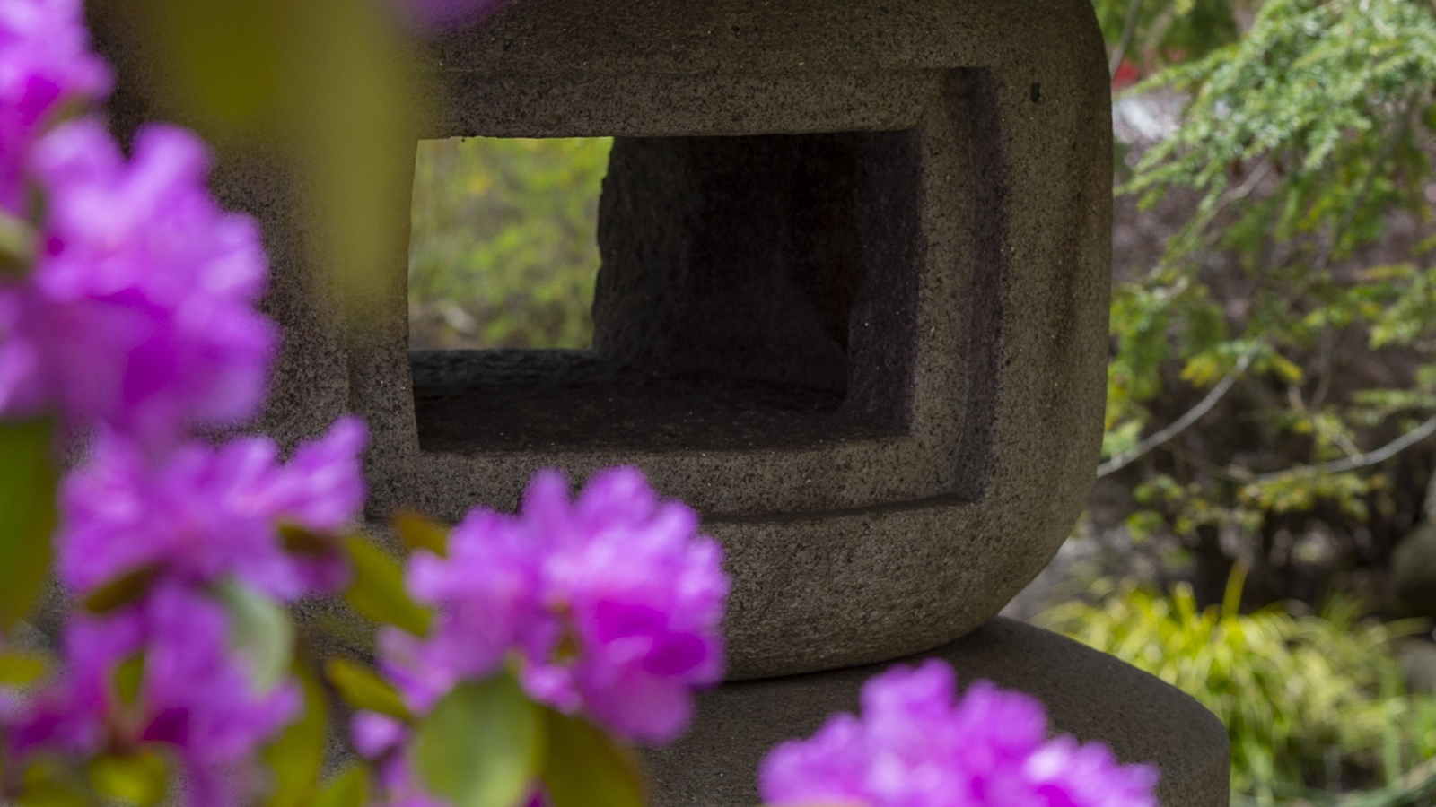 Tojo Garden during spring