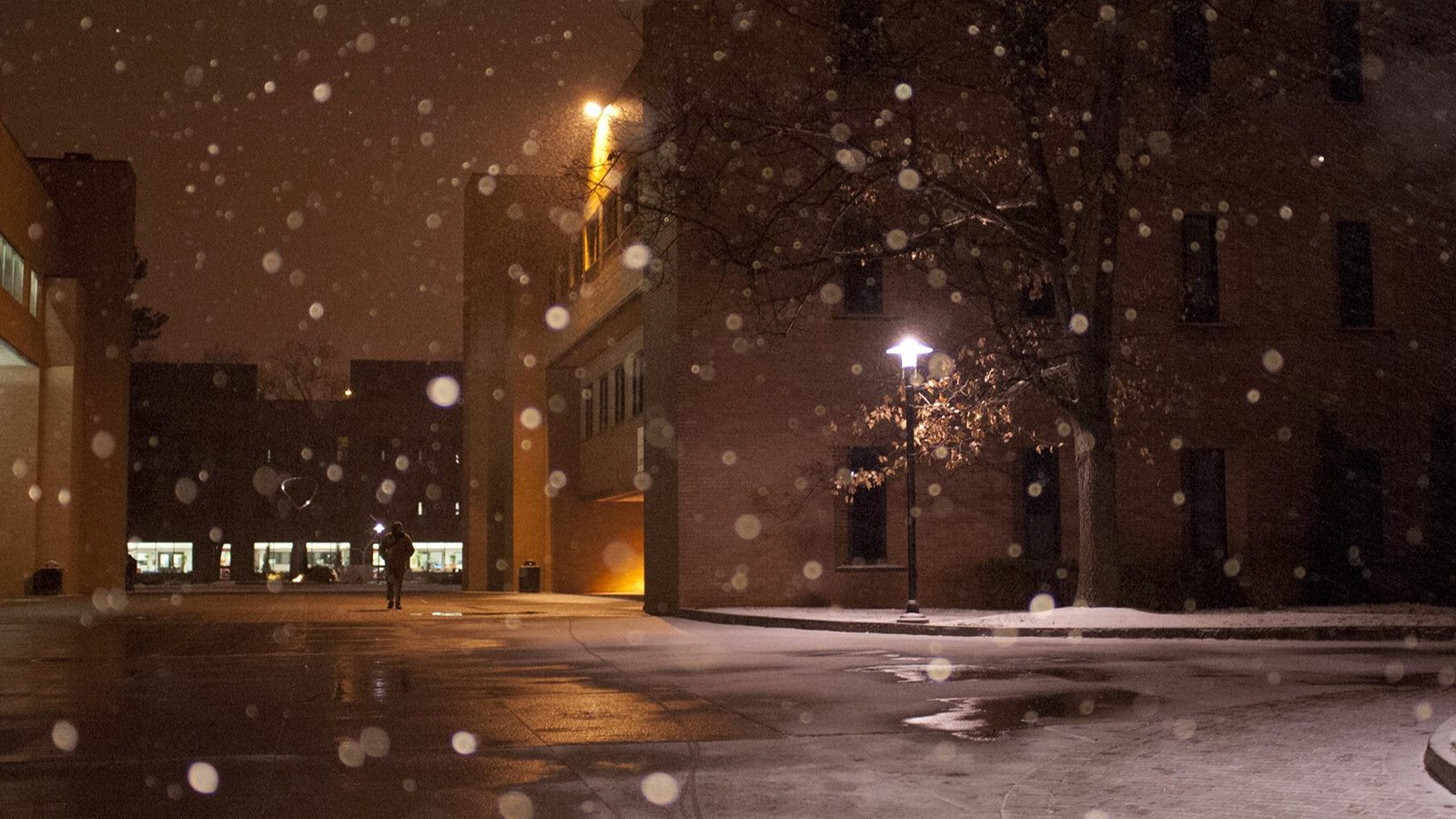 snowy night view of eastman hall