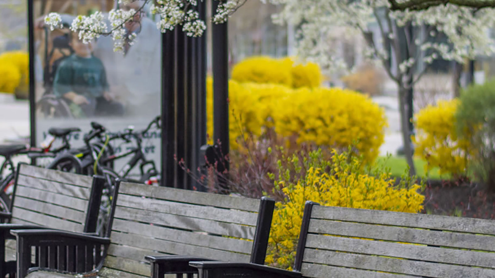 Picture of bus stop benches in the spring