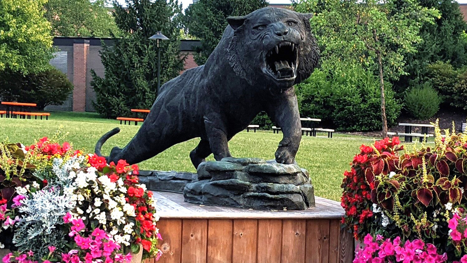 tiger statue with colorful flower pots