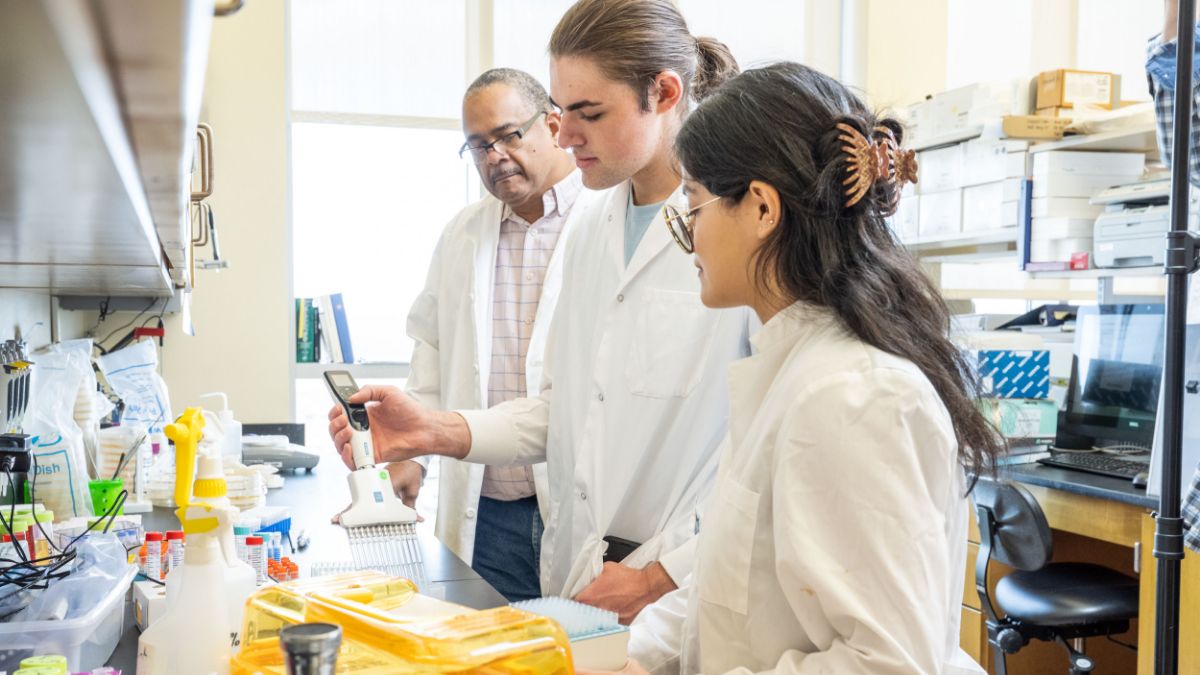 Students and a professor working together in a laboratory, handling scientific equipment.