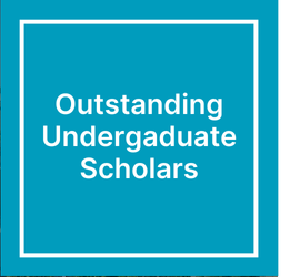 Outstanding Undergraduate Scholar