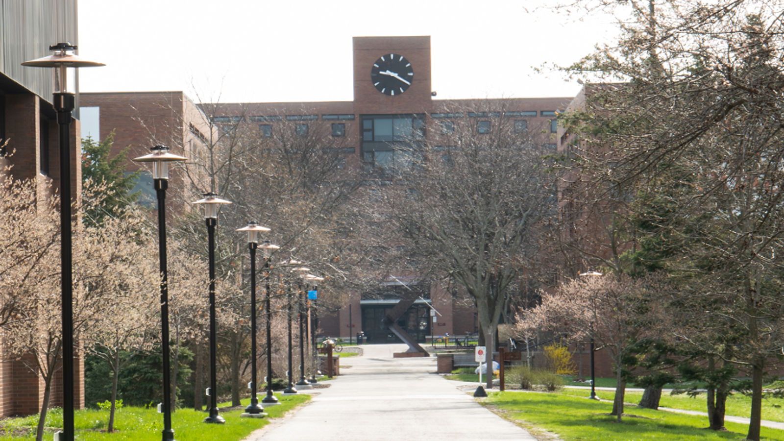 treelined path leading to a tall brick residence hall