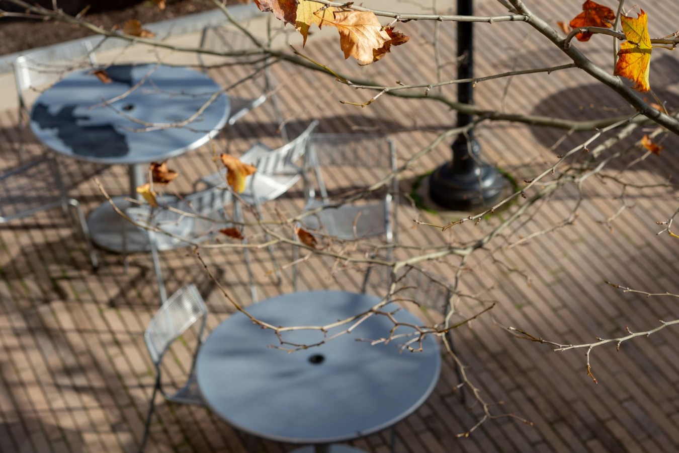 aerial view of empty metal tables on a patio with autumn leaves in the foreground