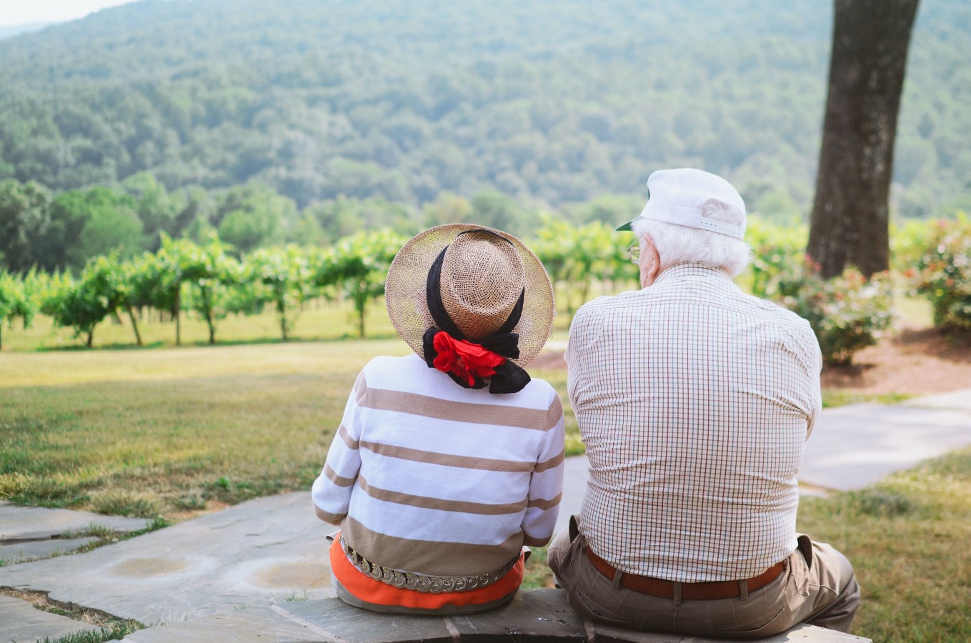 senior man and woman in hat sitting on a bench overlooking a green vineyard