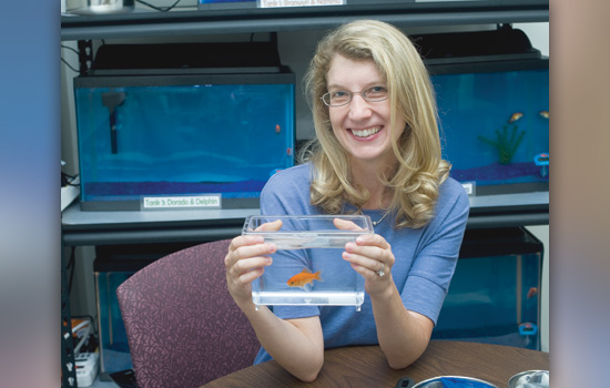 Go fish! Training goldfish for object perception research - RIT News