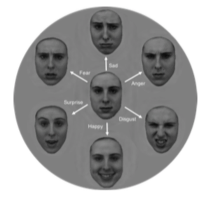 Image of motional face processing