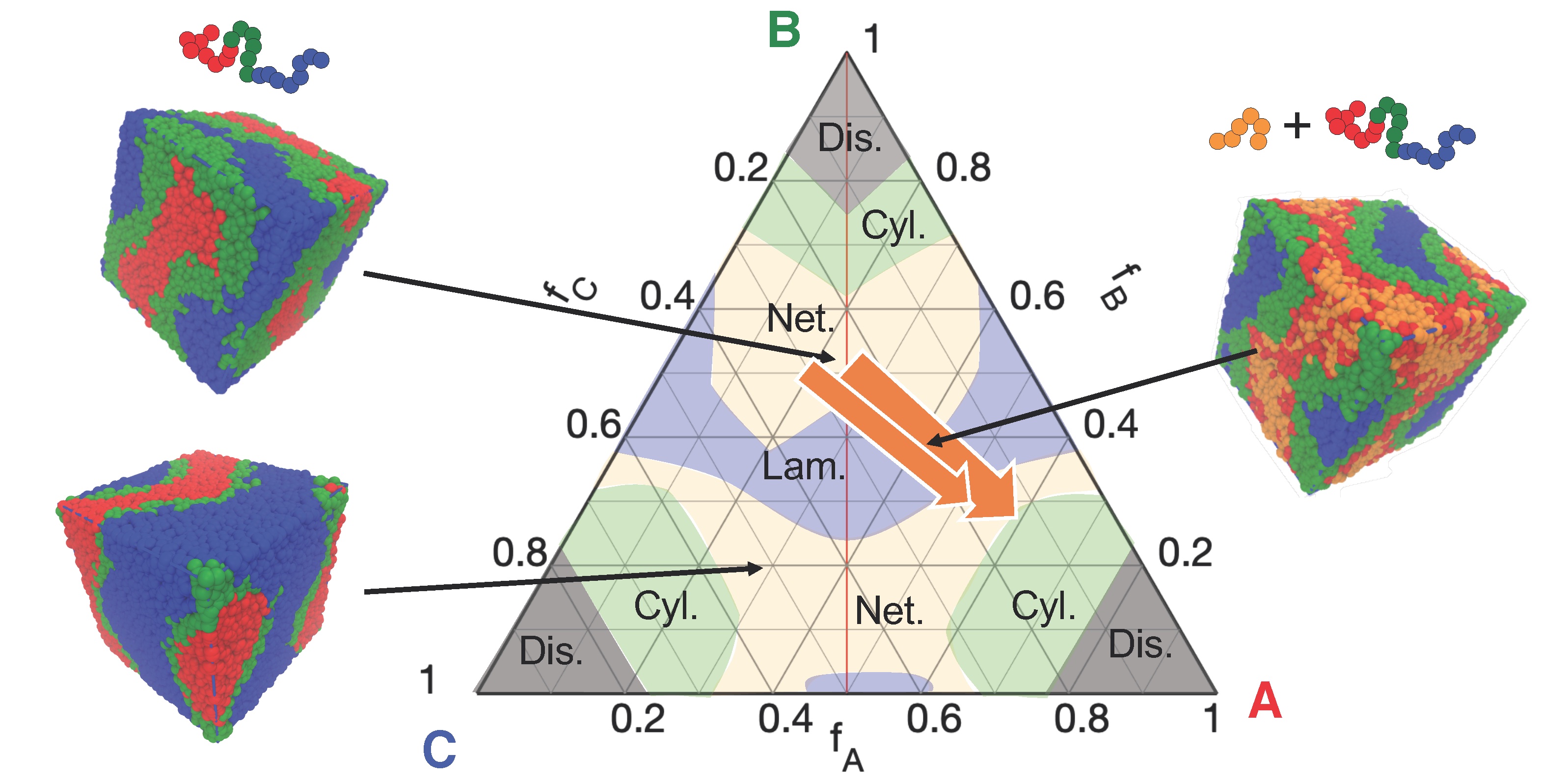 Image showing ternary phase diagram of a triblock copolymer with additional homopolymer. Complex networks, particularly, the gyroid, are stabilized by addition of homopolymer.
