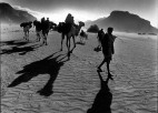 People walk and ride camels in a desert.