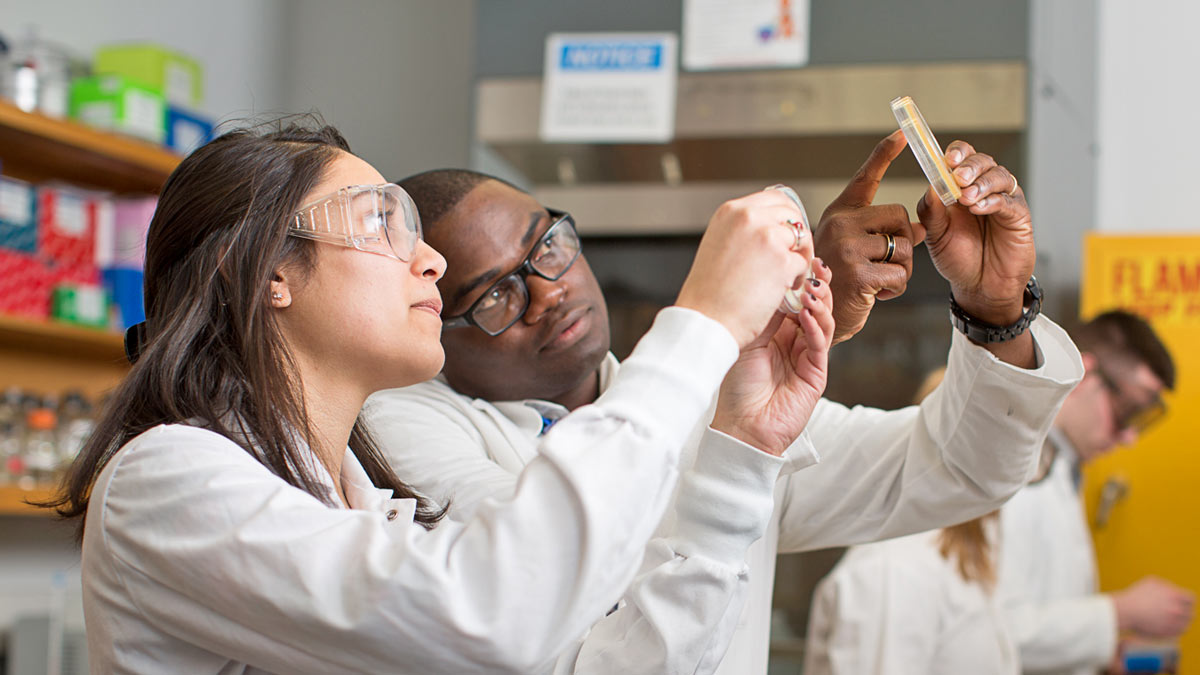 Two students looking at a sample in a petri dish.