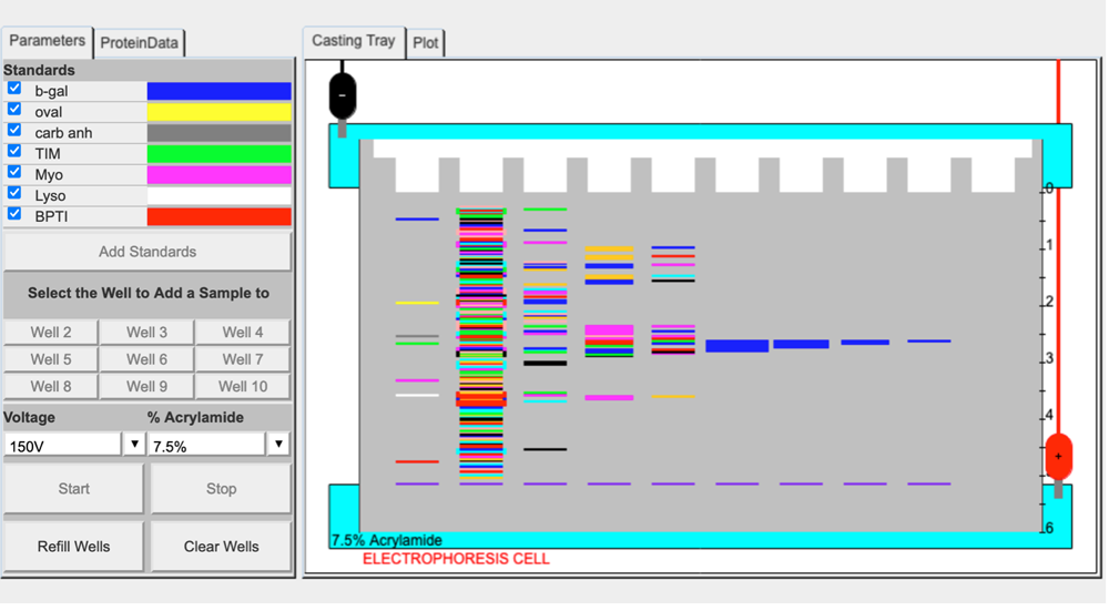 screenshot of a simulation