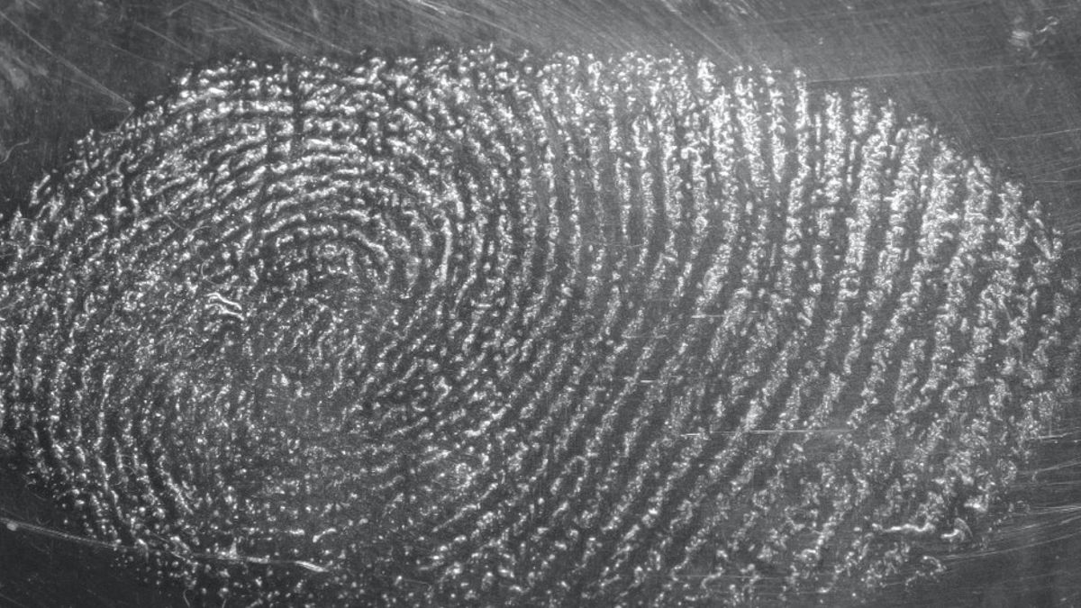 Close-up grayscale image of a human fingerprint pattern with unique ridges and whorls on a textured surface.