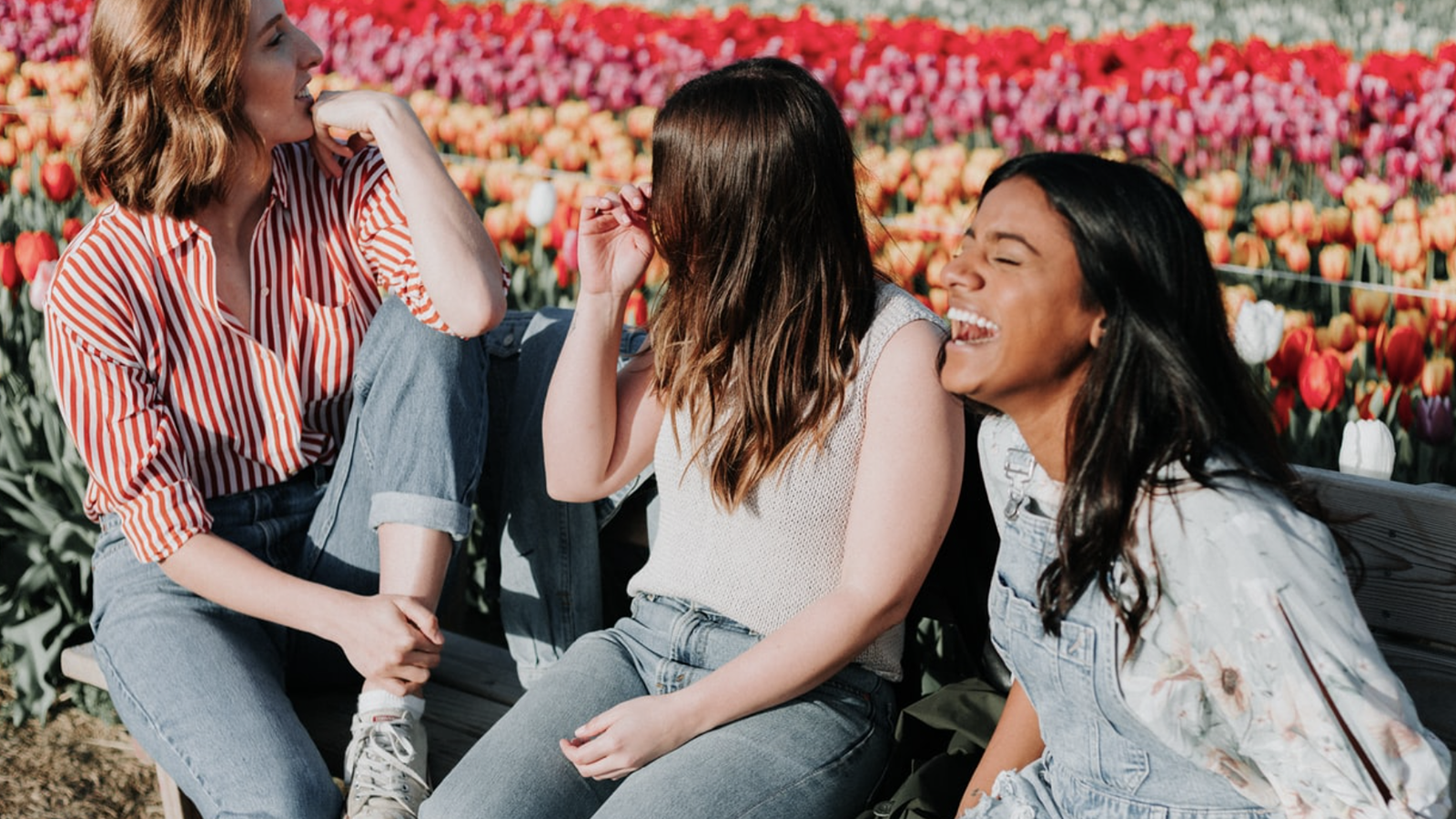 Three friends laughing together on a bench in a field of flowers