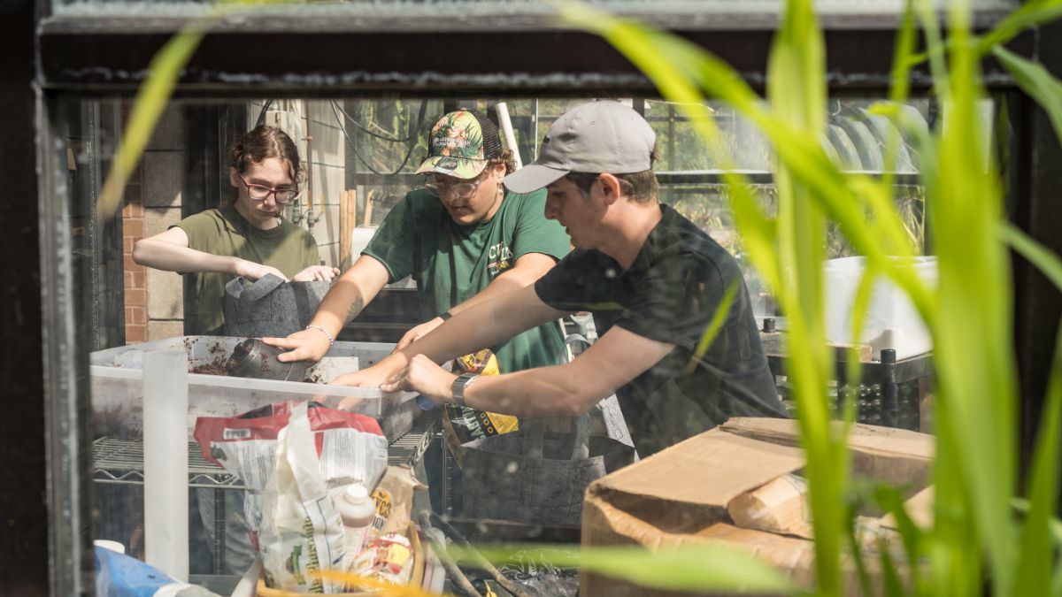 Three students working on a project, captured through a greenhouse window, with gardening tools and supplies visible.