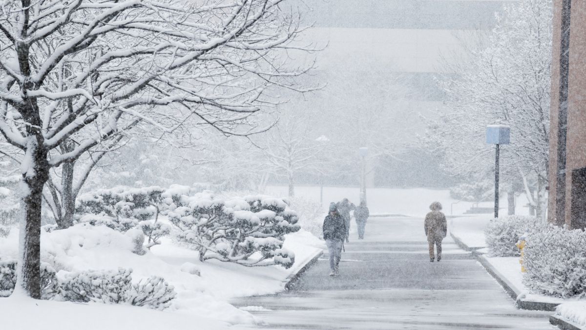 A winter scene with snow-covered ground, trees, and pathway.