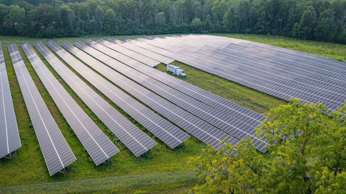 a field with rows of solar panels.