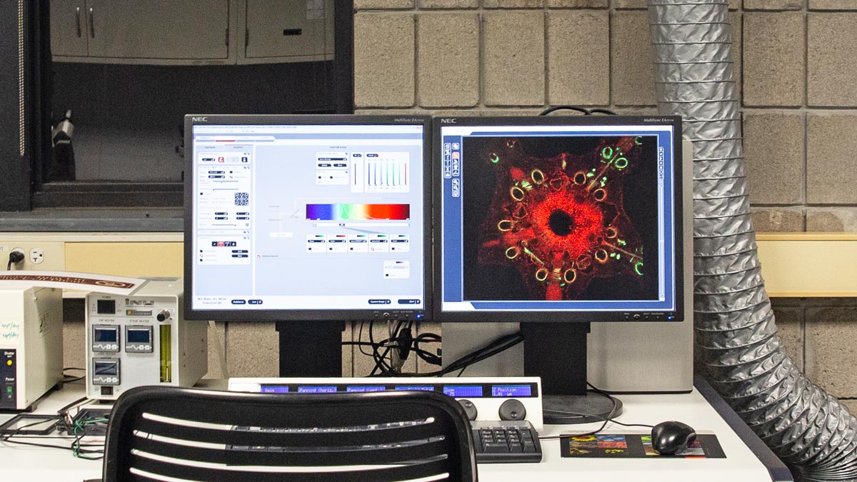 A workstation in a lab with a computer monitor showing a magnified image of something is under the microscope.