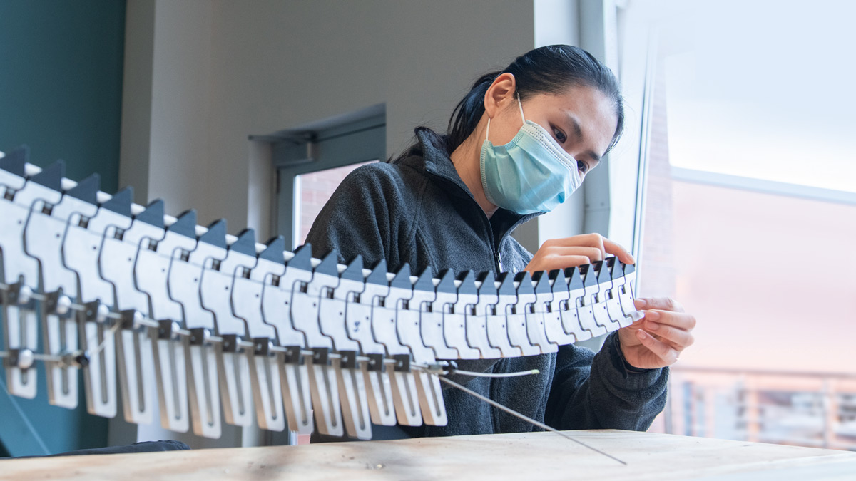 A student works on a metallic tail of interlocking parts.