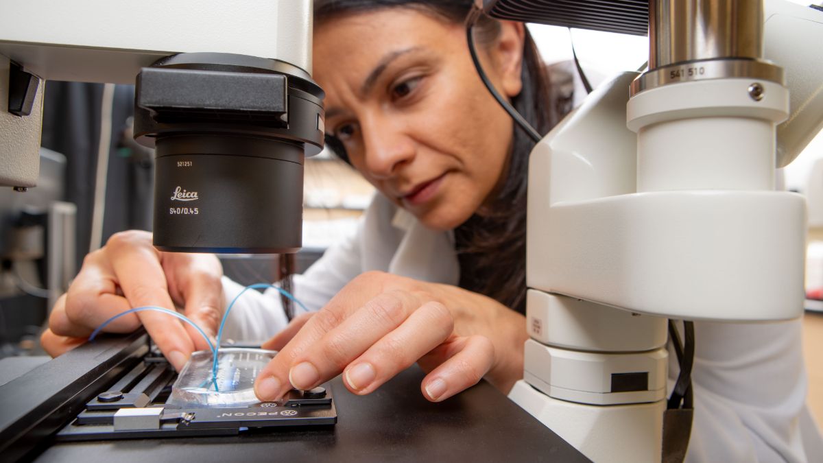 A student work at a piece of optical equipment.